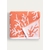 CORAIL